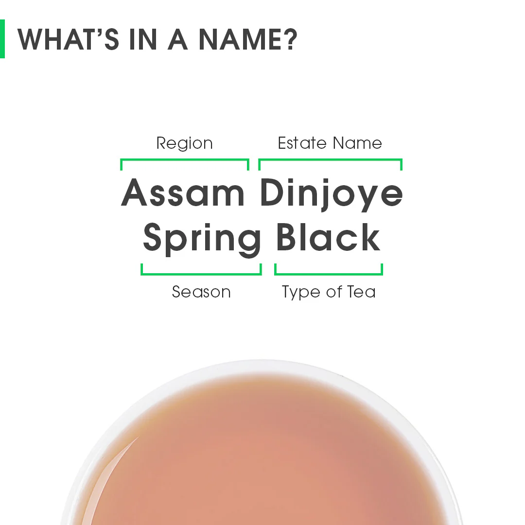 Assam Dinjoye Spring Black - Image 8