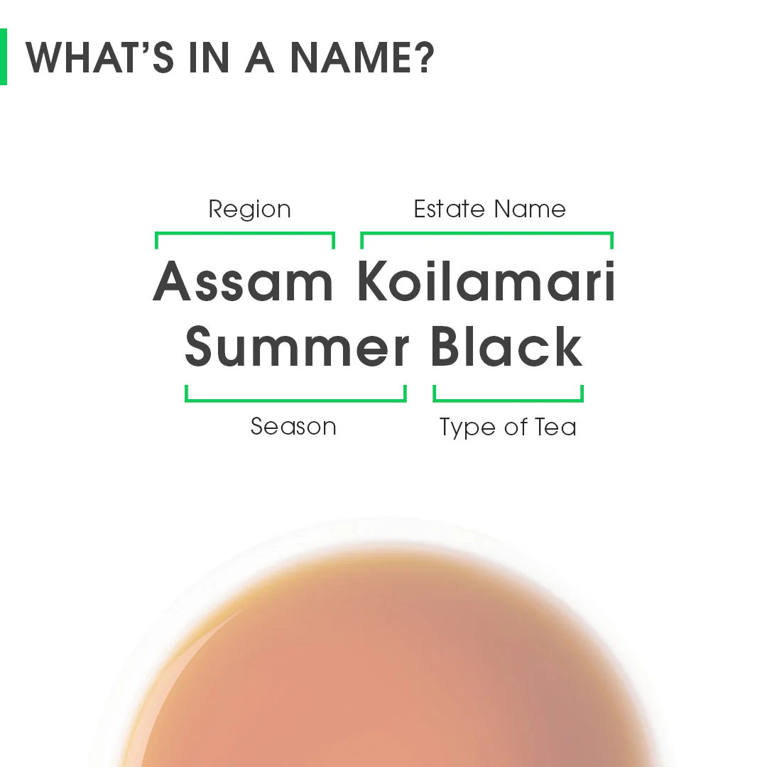 Assam Koilamari Summer Black - Image 8