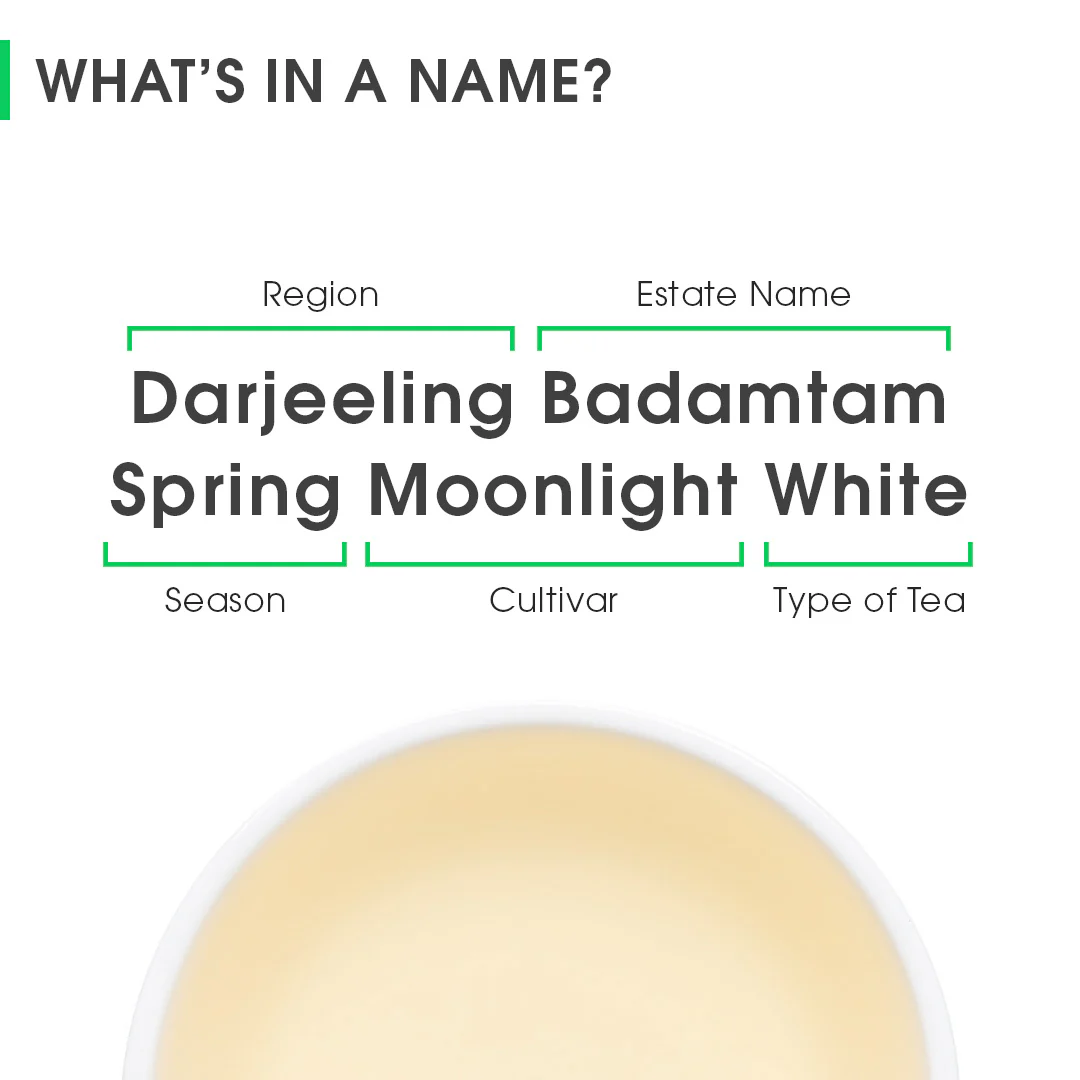 Darjeeling Badamtam Spring Moonlight White (Limited Edition) - Image 8