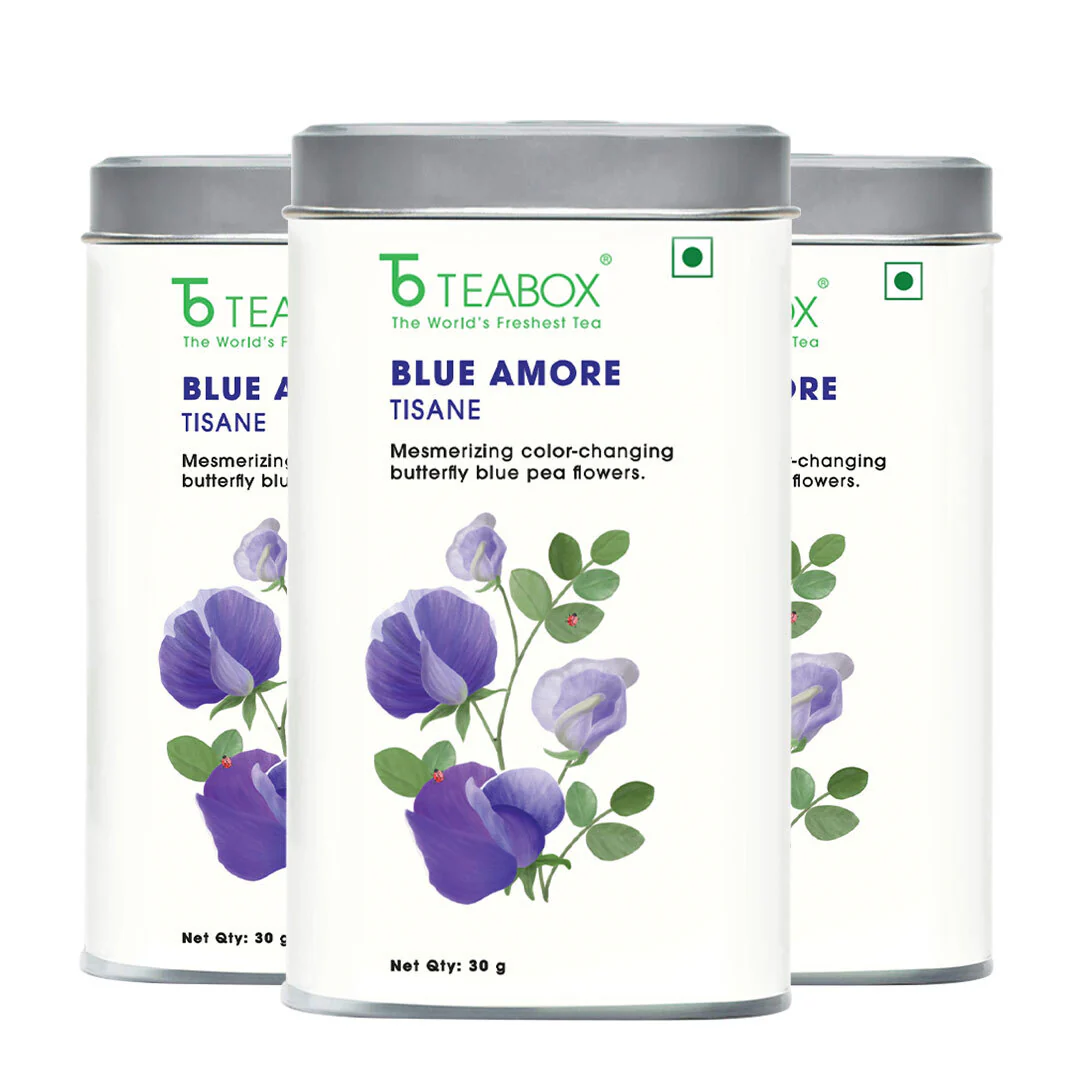 Butterfly Blue Pea Flower (Blue Amore) - Image 6