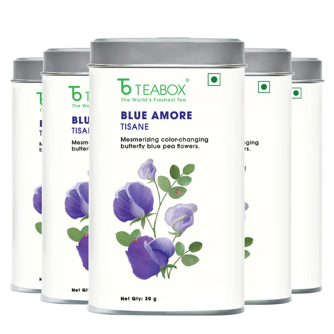 Butterfly Blue Pea Flower (Blue Amore) - Image 7