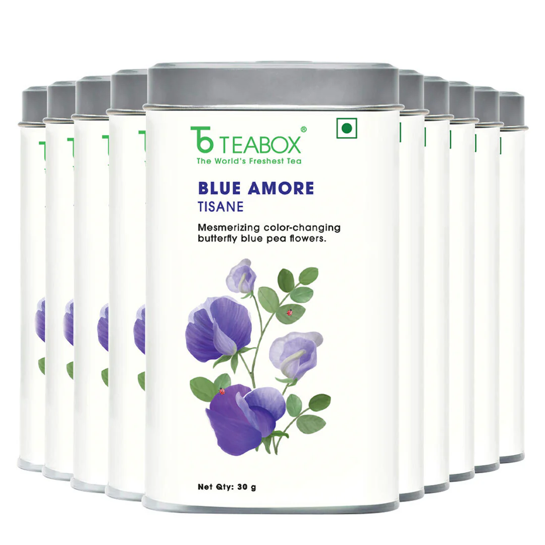 Butterfly Blue Pea Flower (Blue Amore) - Image 8