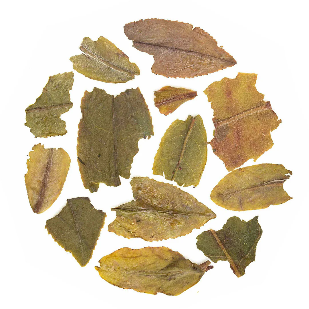 Darjeeling Castleton Spring Chinary Black - Image 4