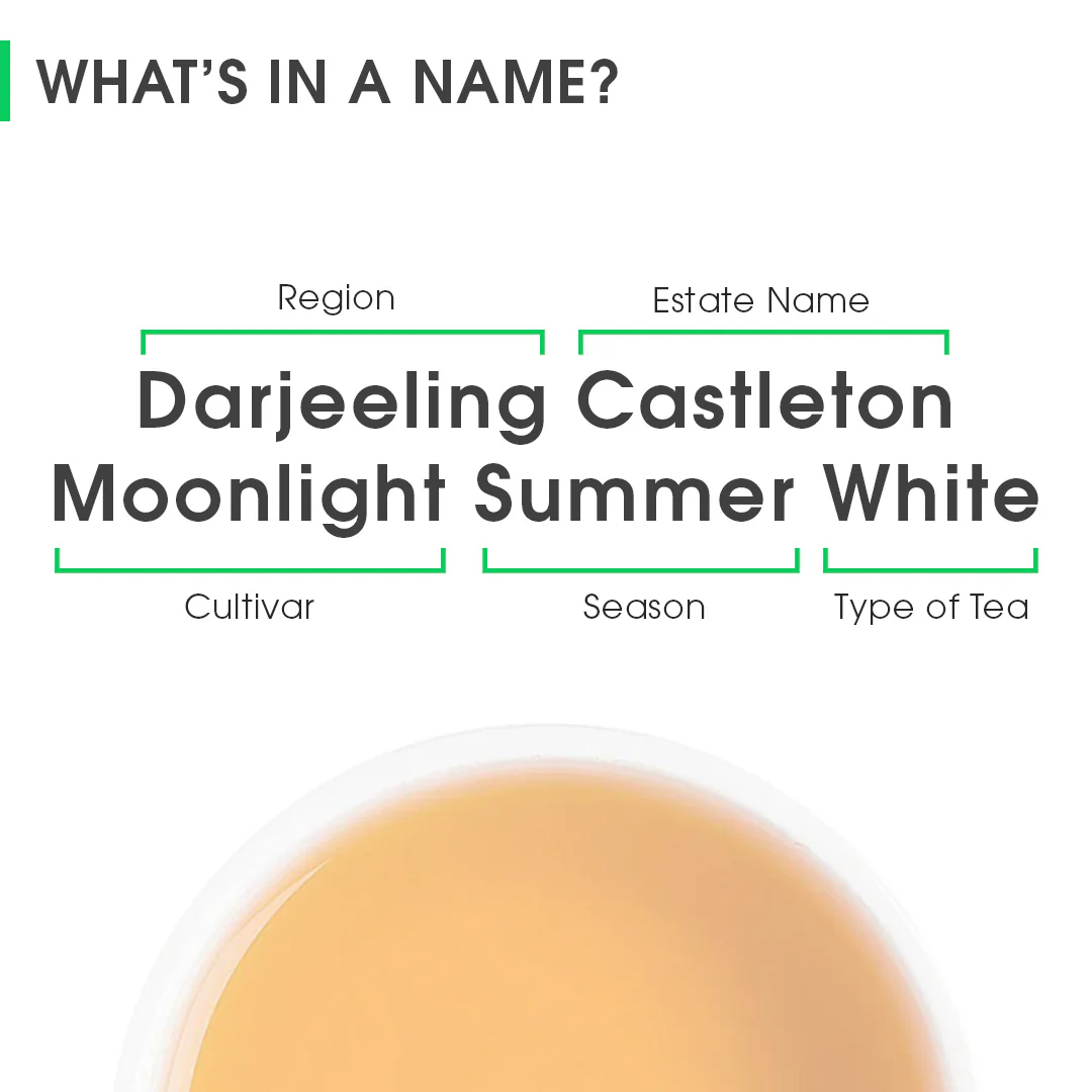 Darjeeling Castleton Moonlight Summer White - Image 8