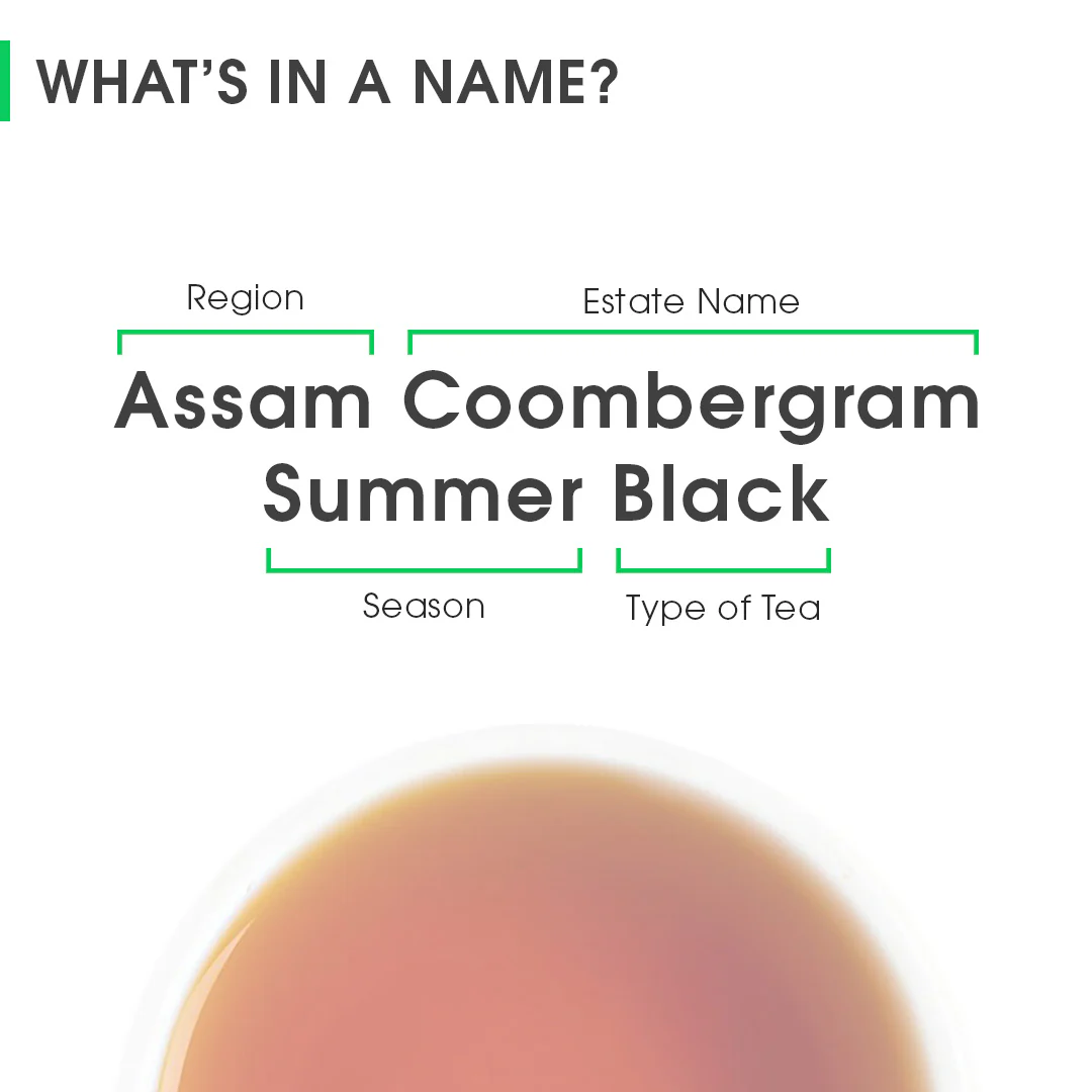 Assam Coombergram Summer Black - Image 8