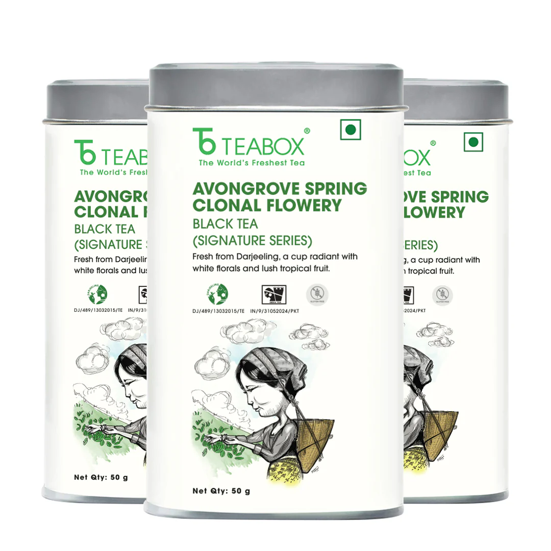 Darjeeling Avongrove Spring Clonal Flowery Black (Signature Series) - Image 10