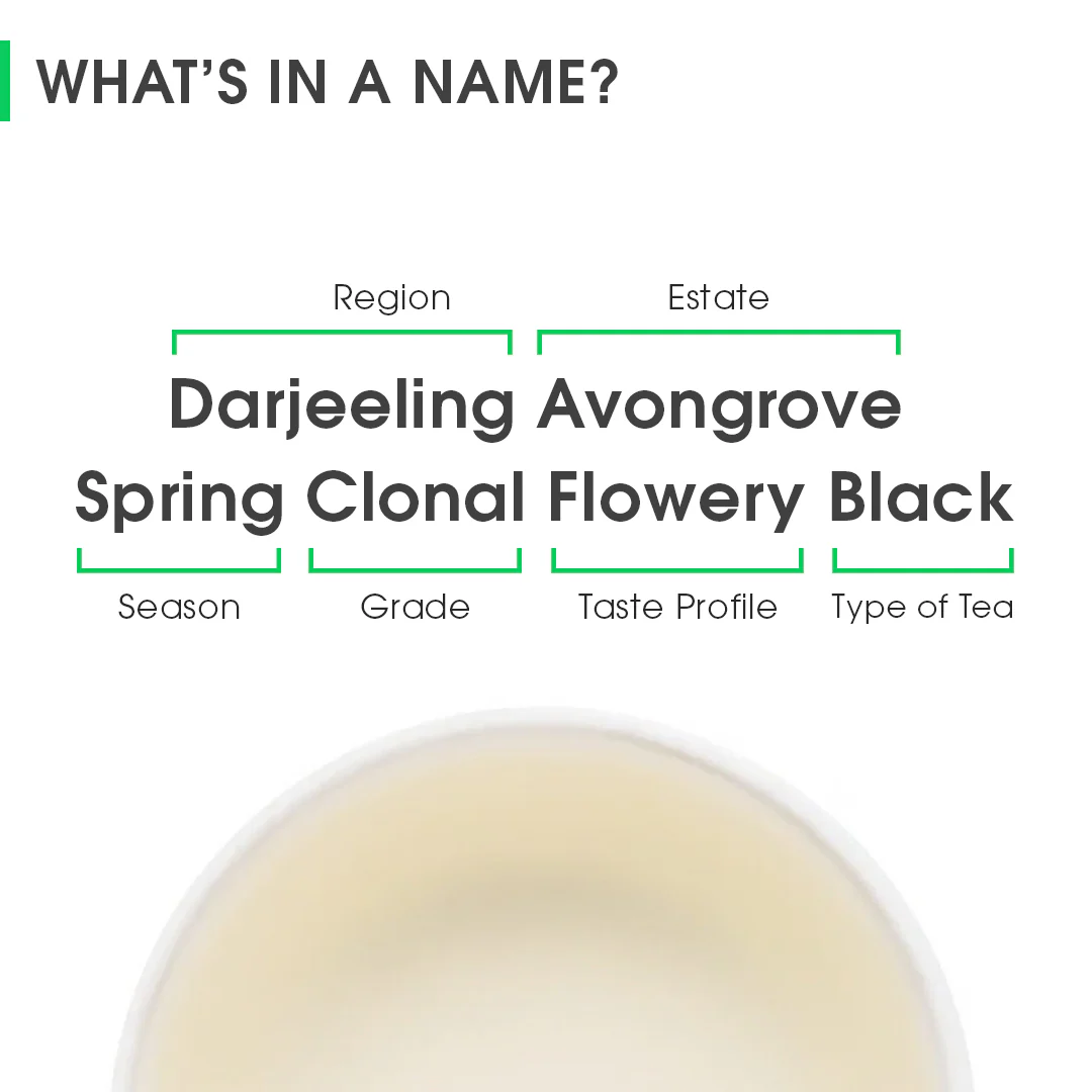 Darjeeling Avongrove Spring Clonal Flowery Black (Signature Series) - Image 8