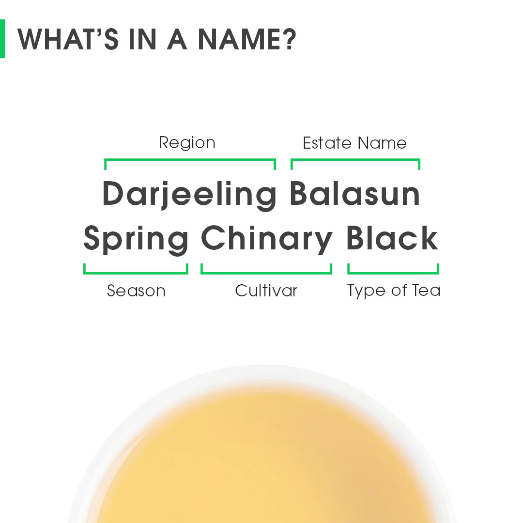Darjeeling Balasun Spring Chinary Black - Image 8