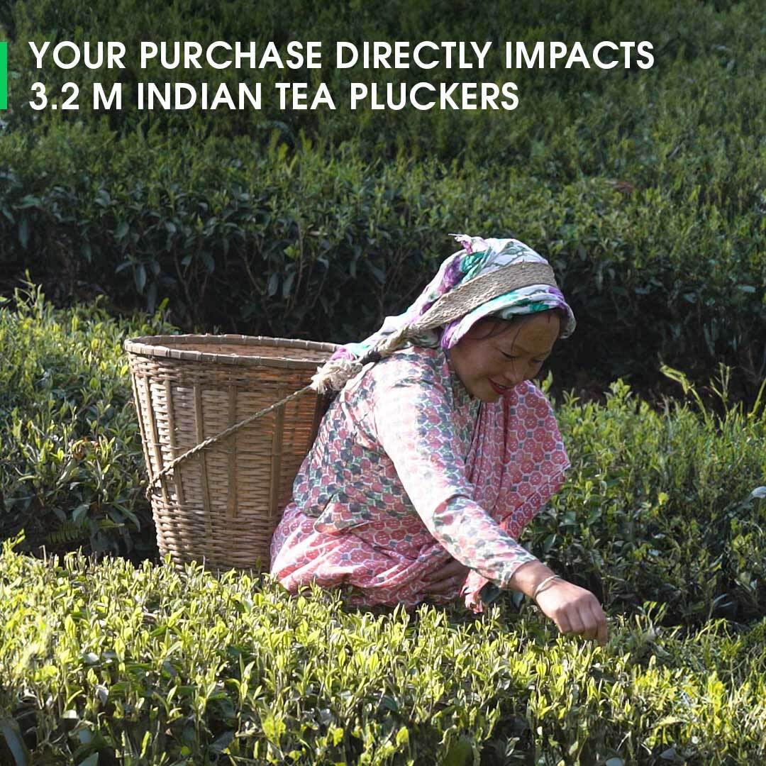 Darjeeling Balasun Summer Clonal Black - Image 5