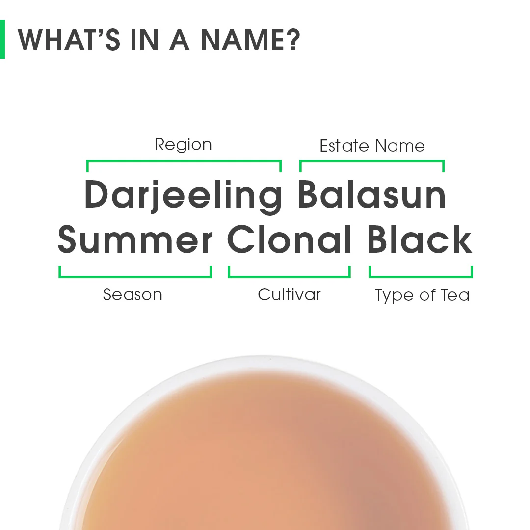 Darjeeling Balasun Summer Clonal Black - Image 8