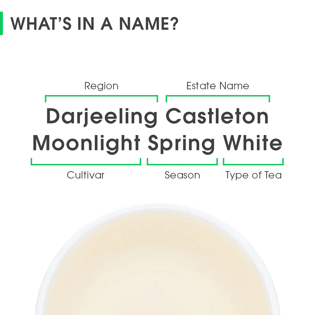 Darjeeling Castleton Moonlight Spring White - Image 8