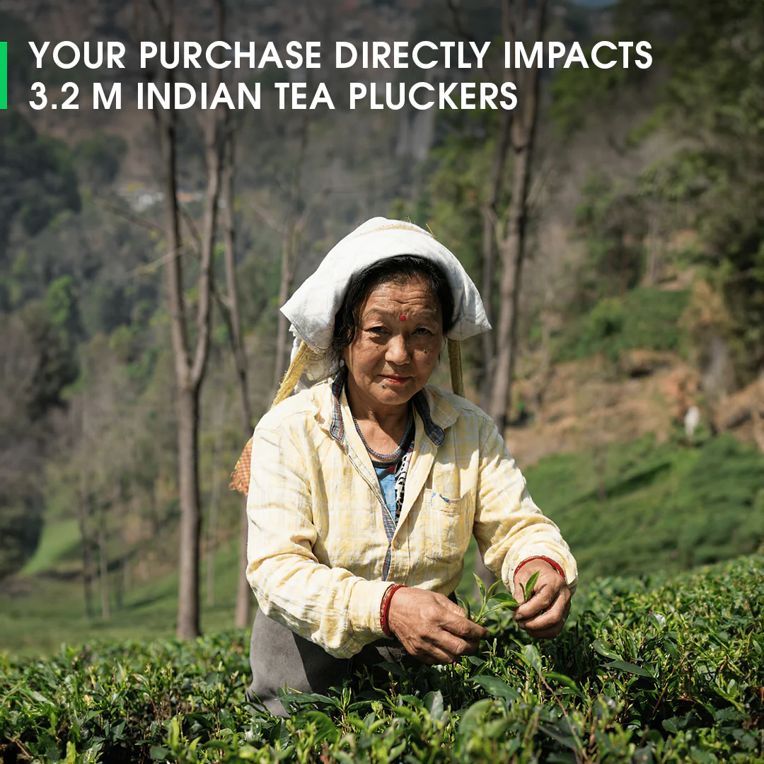 Darjeeling Exotic Moonlight White - Image 5