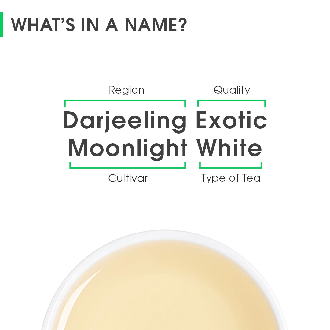 Darjeeling Exotic Moonlight White - Image 8