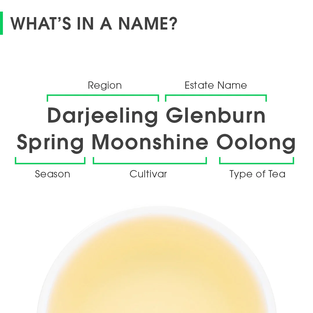 Darjeeling Glenburn Spring Moonshine Oolong - Image 8
