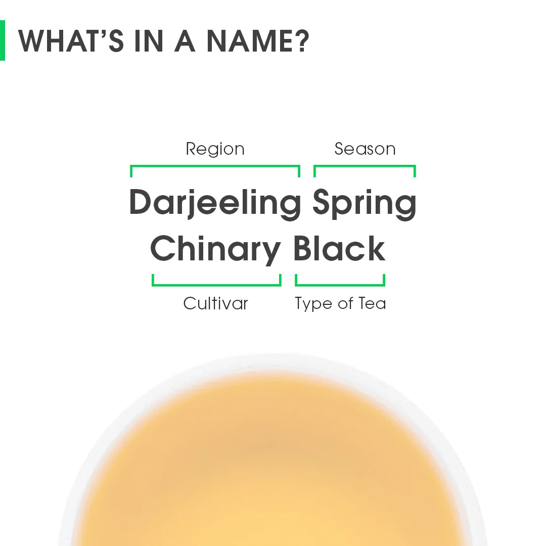 Darjeeling Spring Chinary Black - Image 8