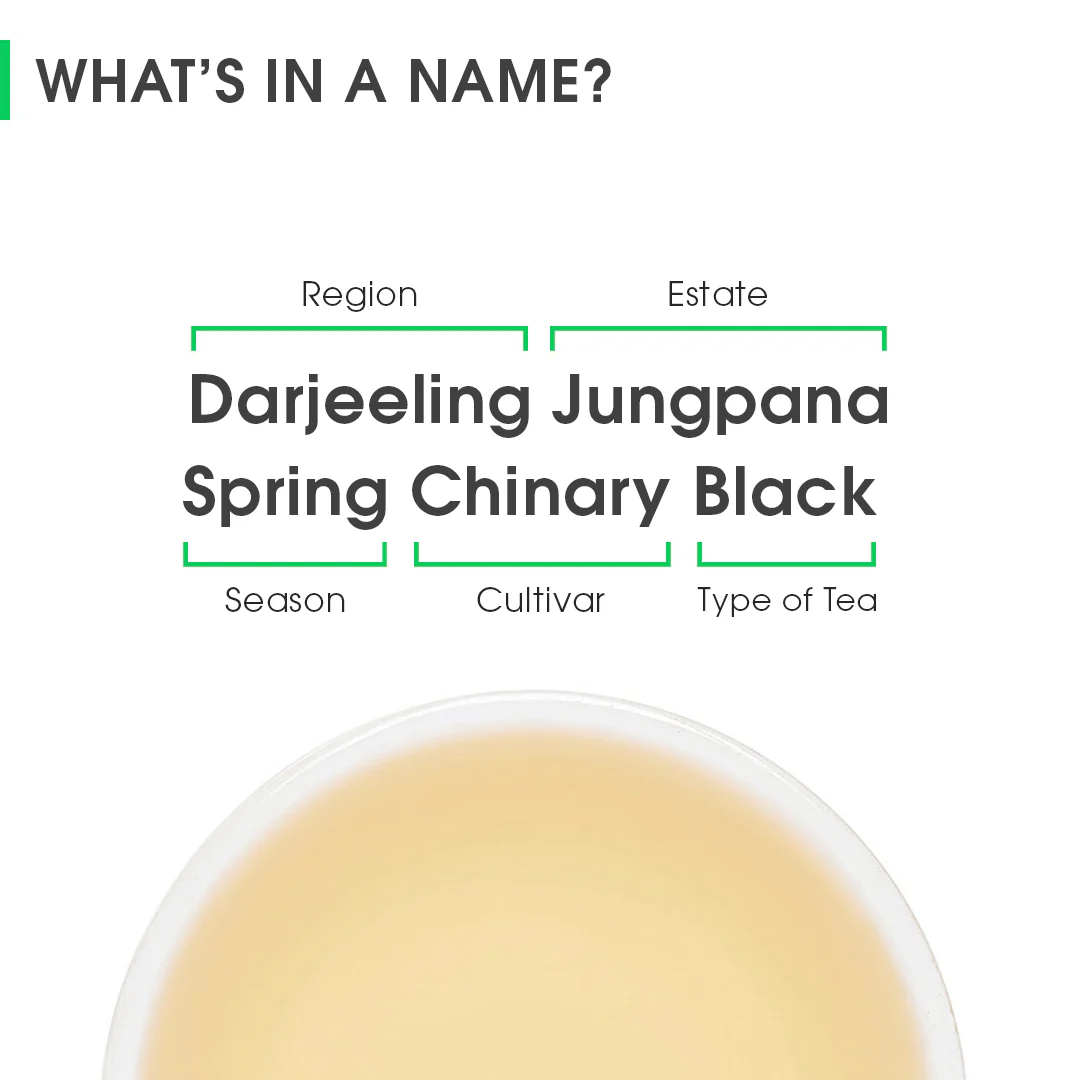 Darjeeling Jungpana Spring Chinary Black - Image 8