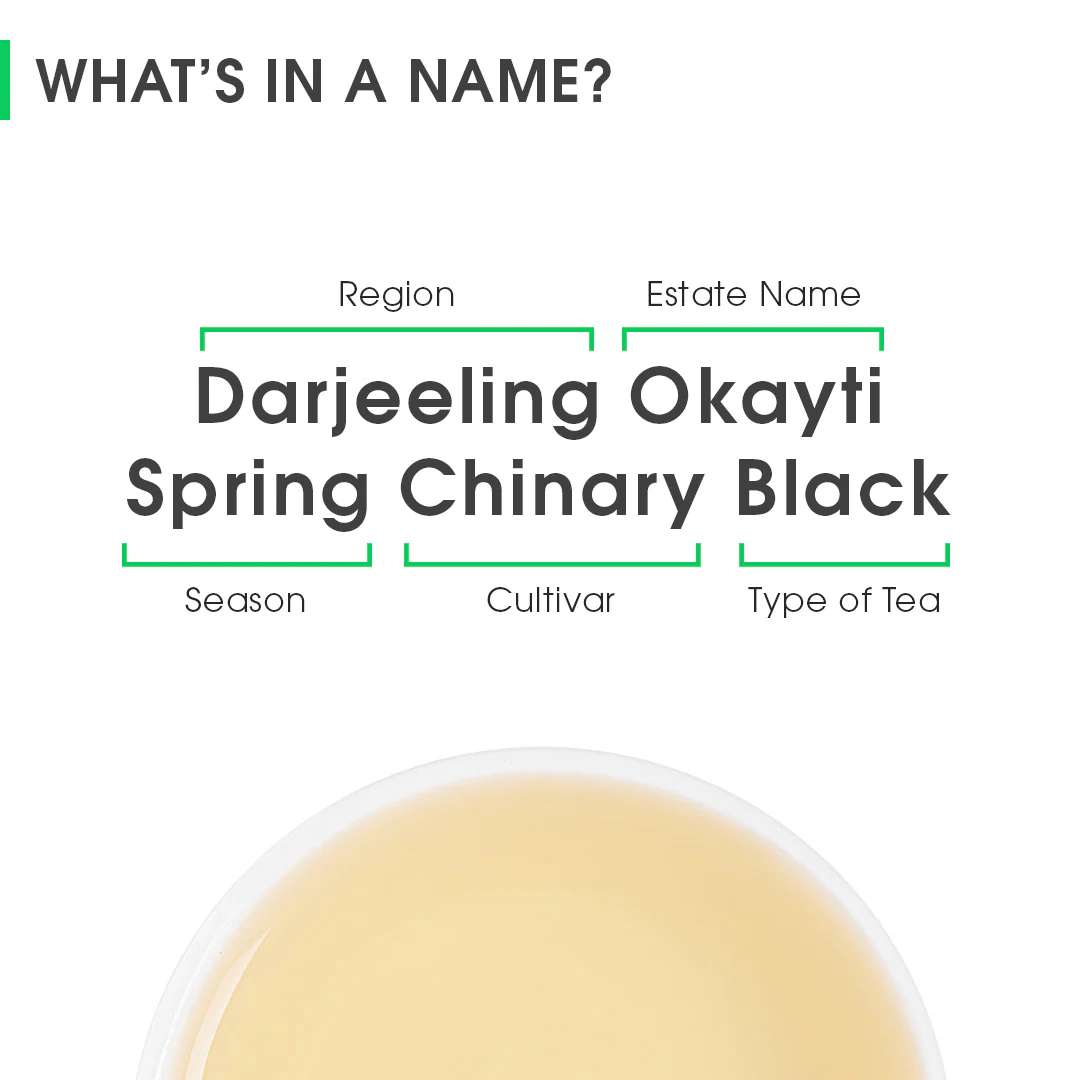 Darjeeling Okayti Spring Chinary Black - Image 8