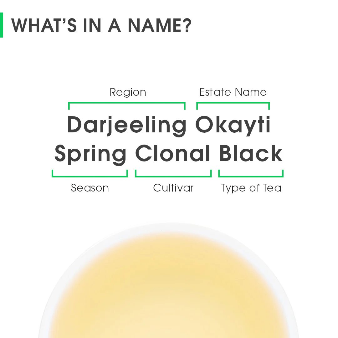Darjeeling Okayti Spring Clonal Black - Image 8