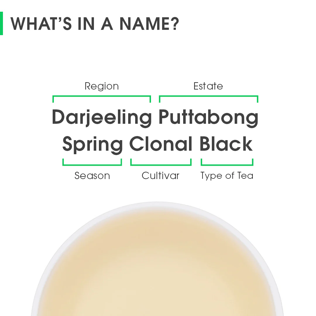 Darjeeling Puttabong Spring Clonal Black - Image 8