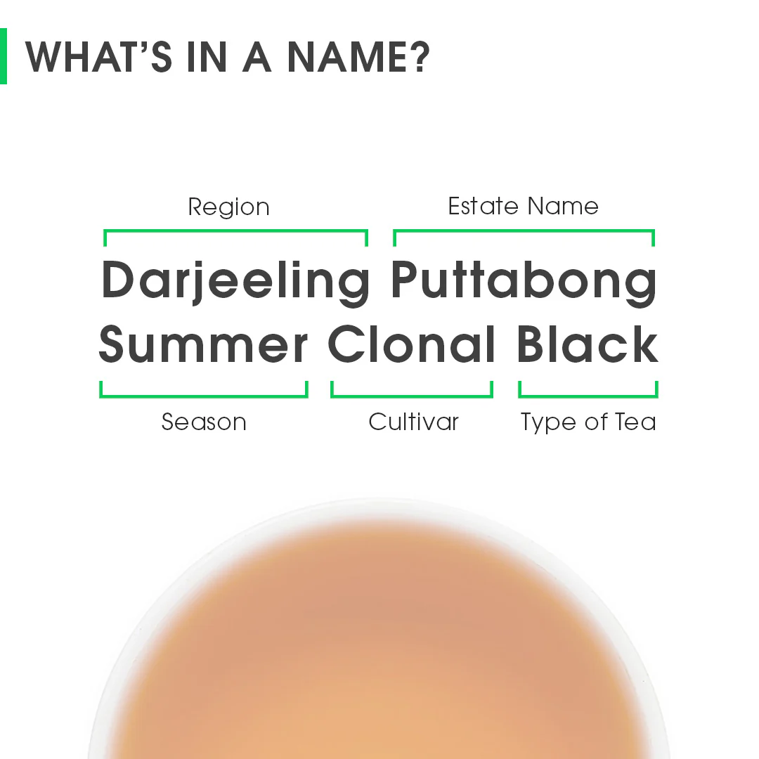 Darjeeling Puttabong Summer Clonal Black - Image 8