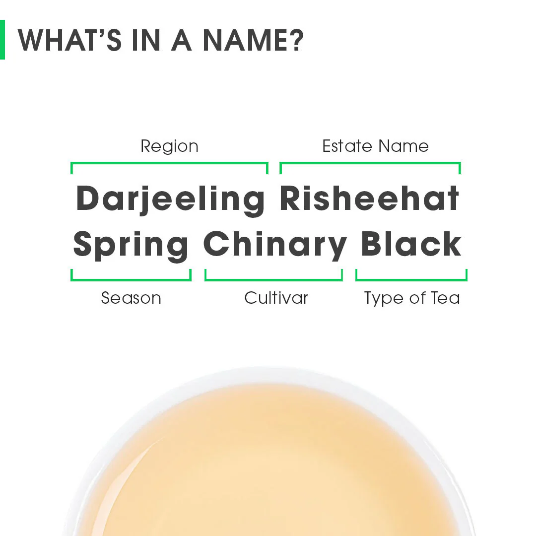 Darjeeling Risheehat Spring Chinary Black (Limited Edition) - Image 8