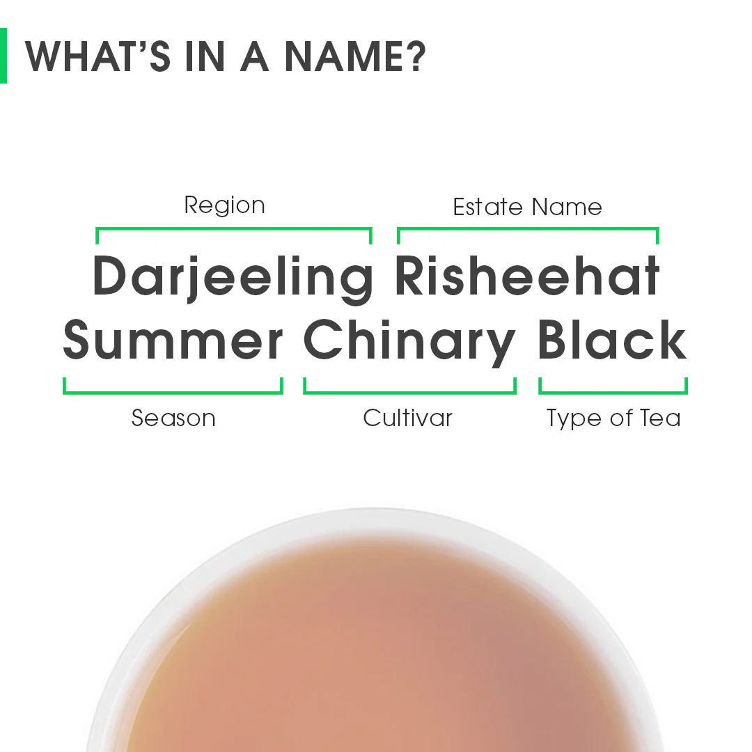 Darjeeling Risheehat Summer Chinary Black - Image 8