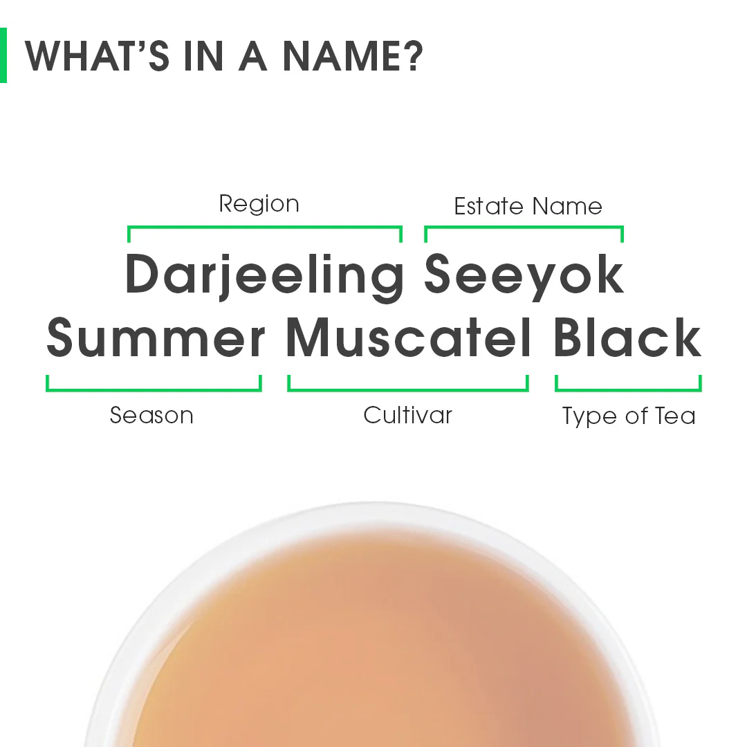 Darjeeling Seeyok Summer Muscatel Black - Image 8