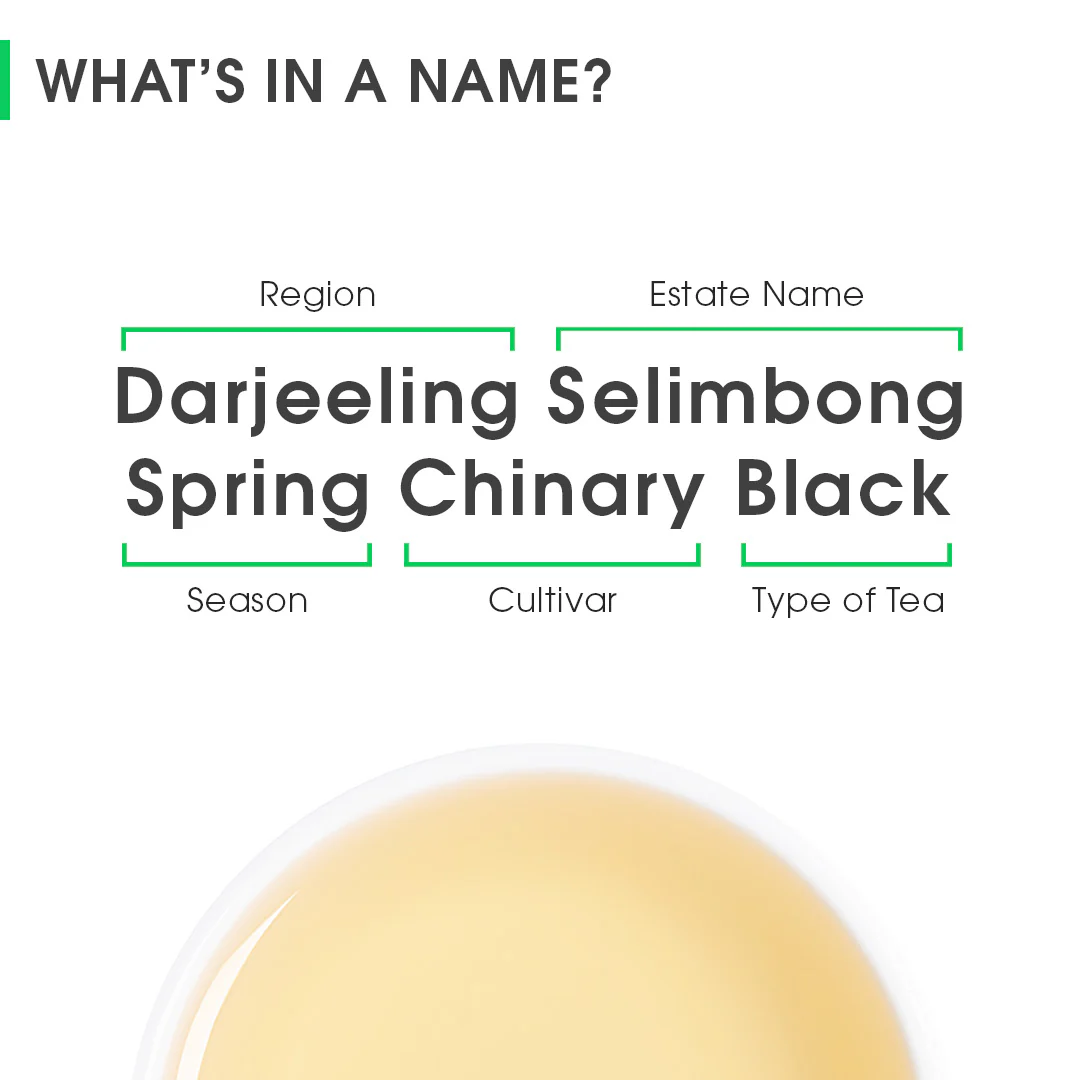 Darjeeling Selimbong Spring Chinary Black - Image 8