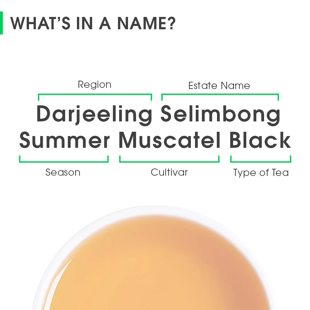 Darjeeling Selimbong Summer Muscatel Black - Image 8