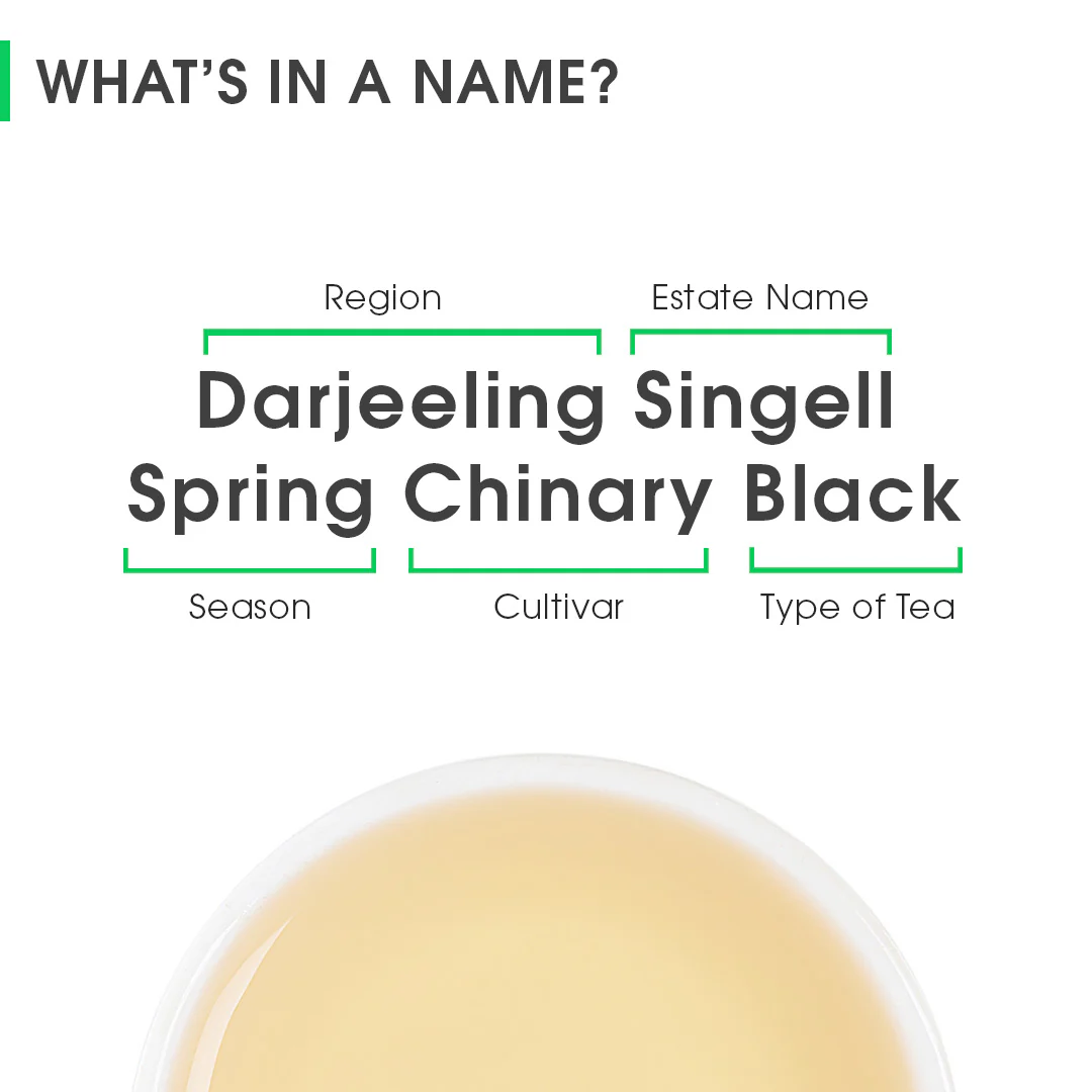 Darjeeling Singell Spring Chinary Black - Image 8