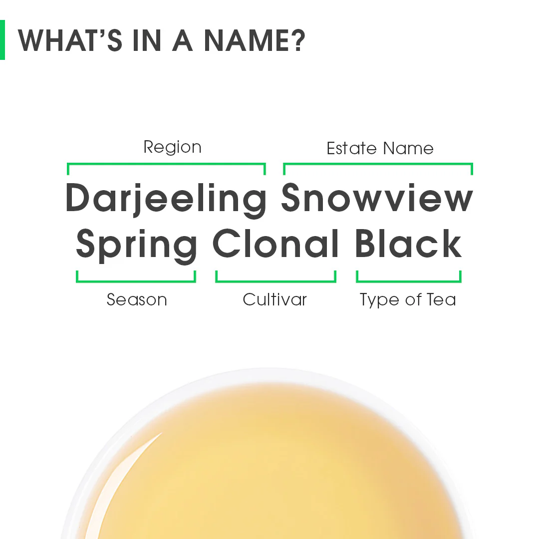 Darjeeling Snowview Spring Clonal Black - Image 8