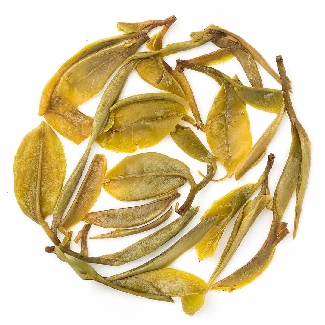 Darjeeling Thurbo Spring Moonlight White - Image 4