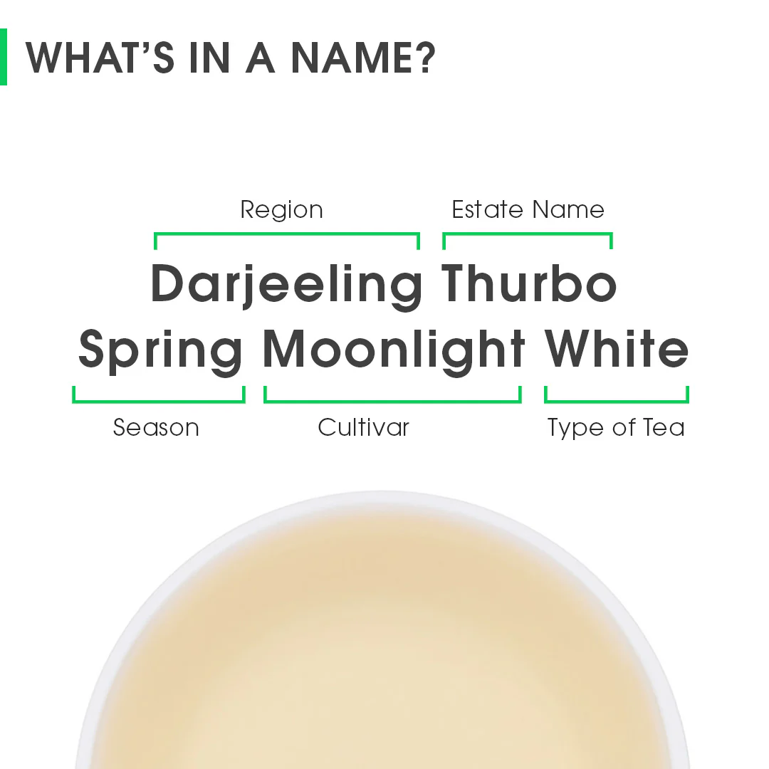 Darjeeling Thurbo Spring Moonlight White - Image 8