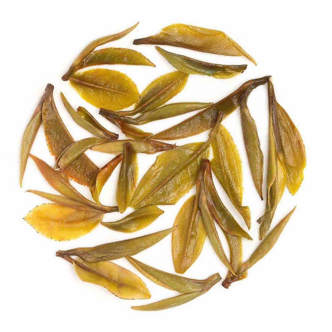 Darjeeling Turzum Spring Moonlight White - Image 4