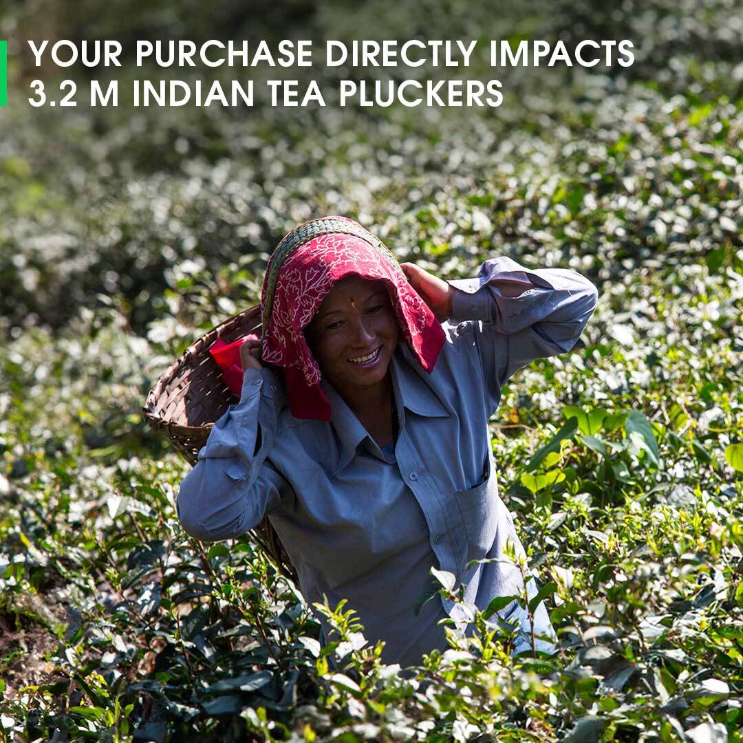 Darjeeling Turzum Spring Moonlight White - Image 5