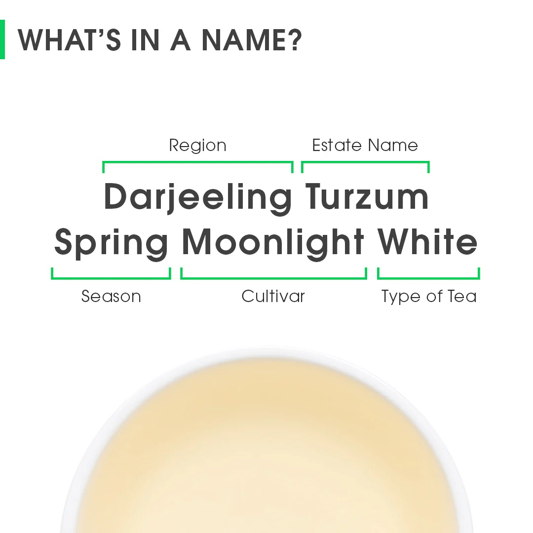 Darjeeling Turzum Spring Moonlight White - Image 8