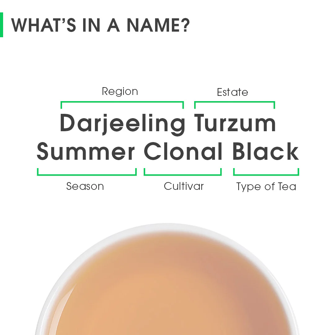 Darjeeling Turzum Summer Clonal Black - Image 8