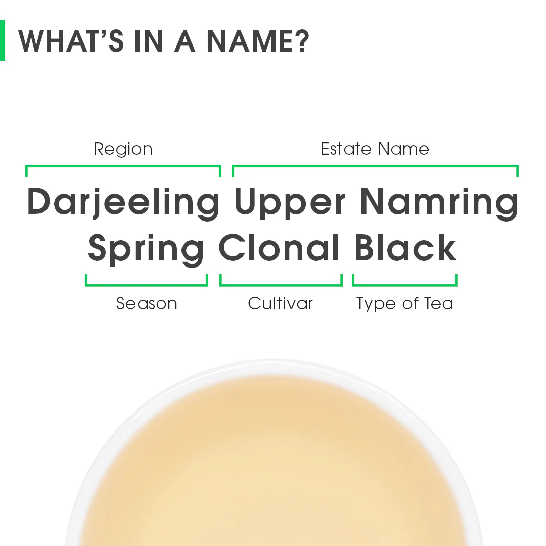 Darjeeling Upper Namring Spring Clonal Black (Limited Edition) - Image 8