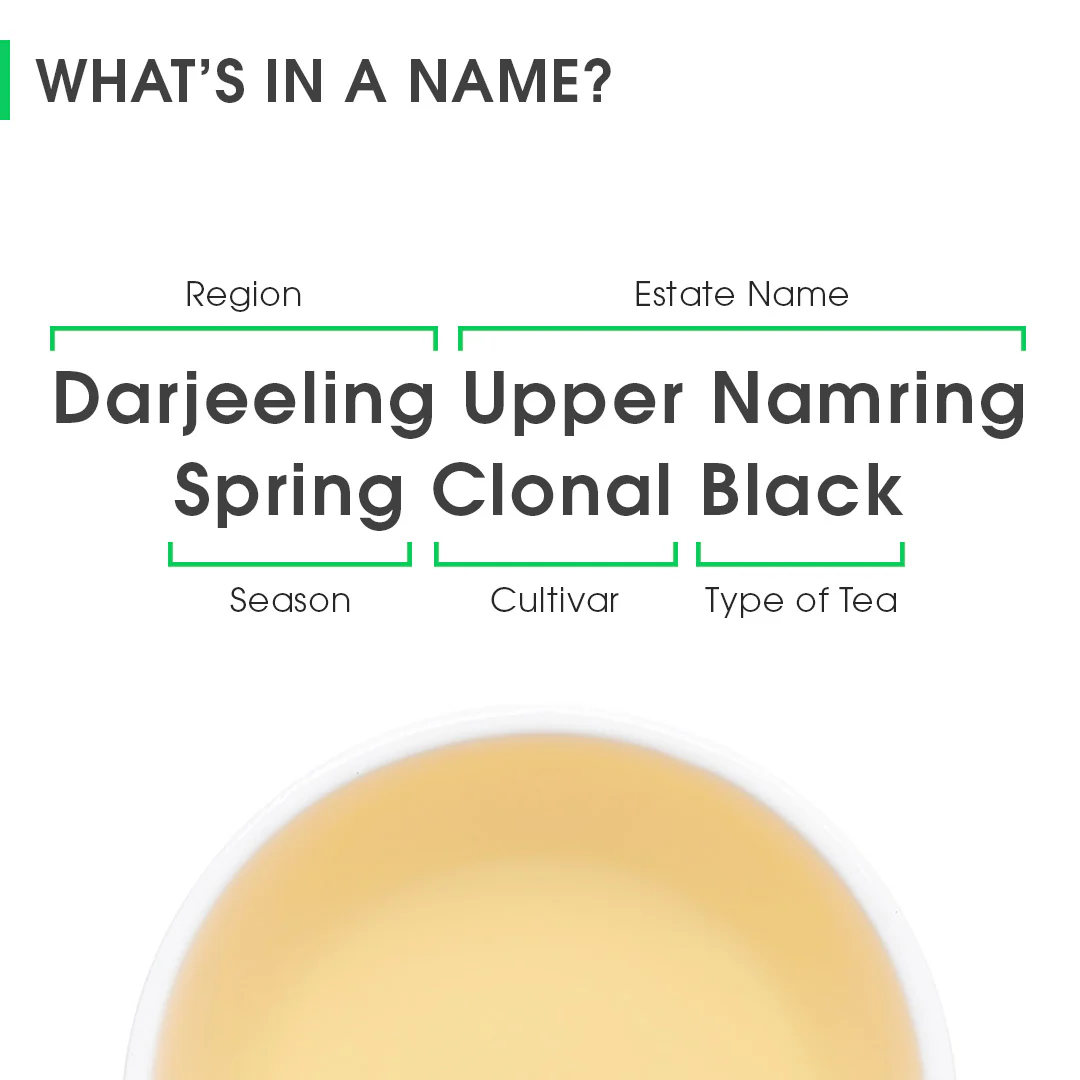 Darjeeling Upper Namring Spring Clonal Black (Signature Series) - Image 8