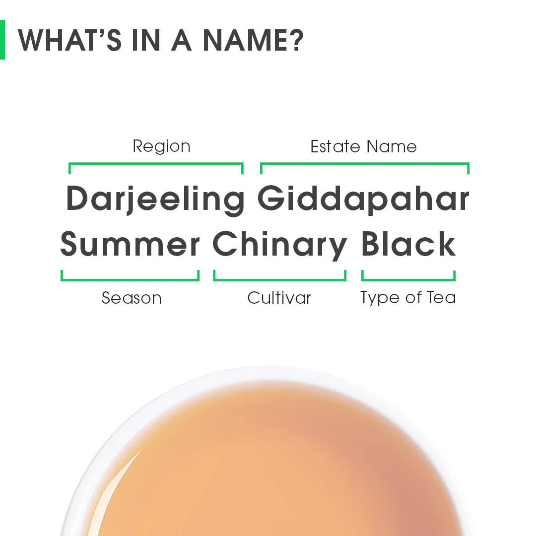 Darjeeling Giddapahar Summer Chinary Black - Image 8
