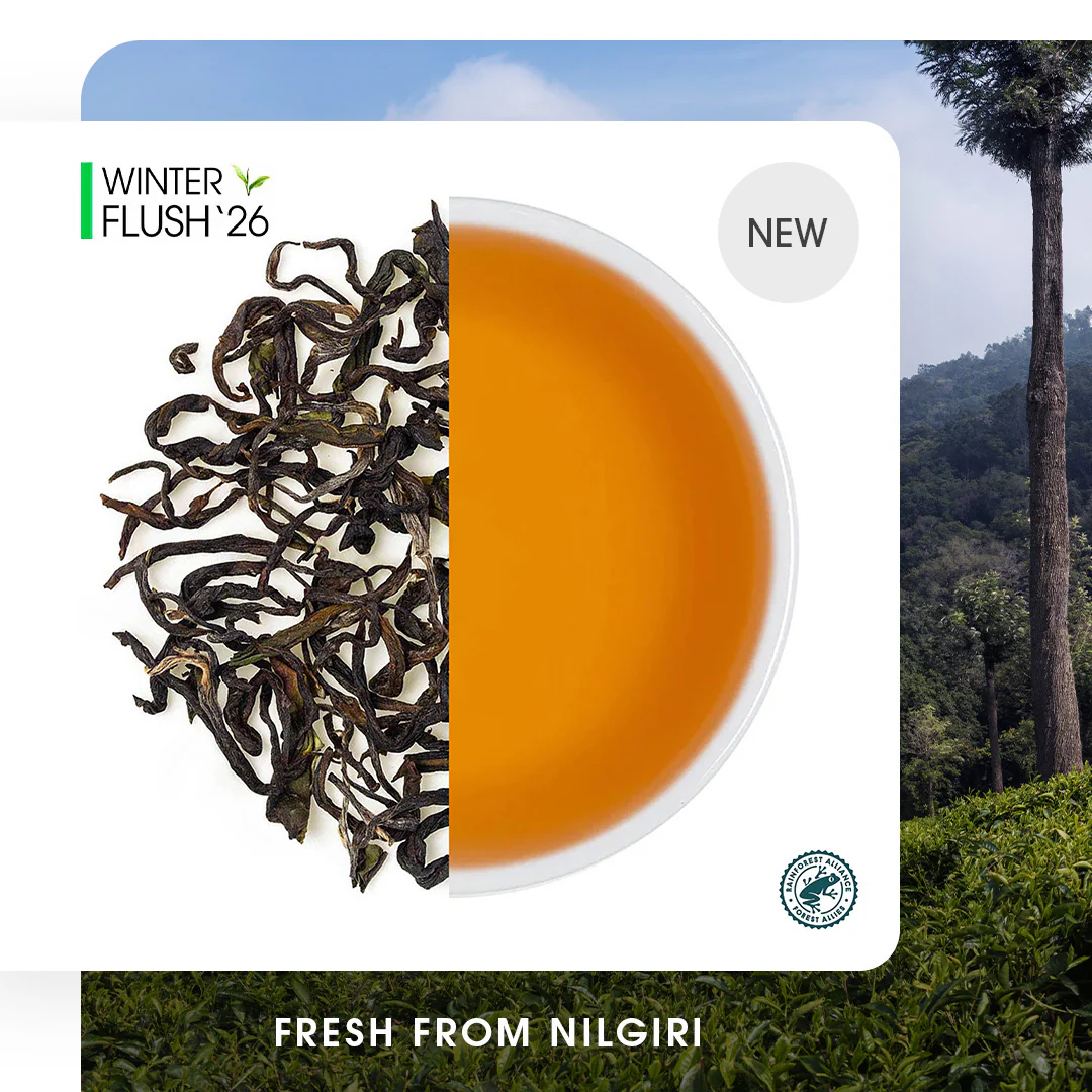Nilgiri Glendale Winter Frost Twirl Black - Image 13
