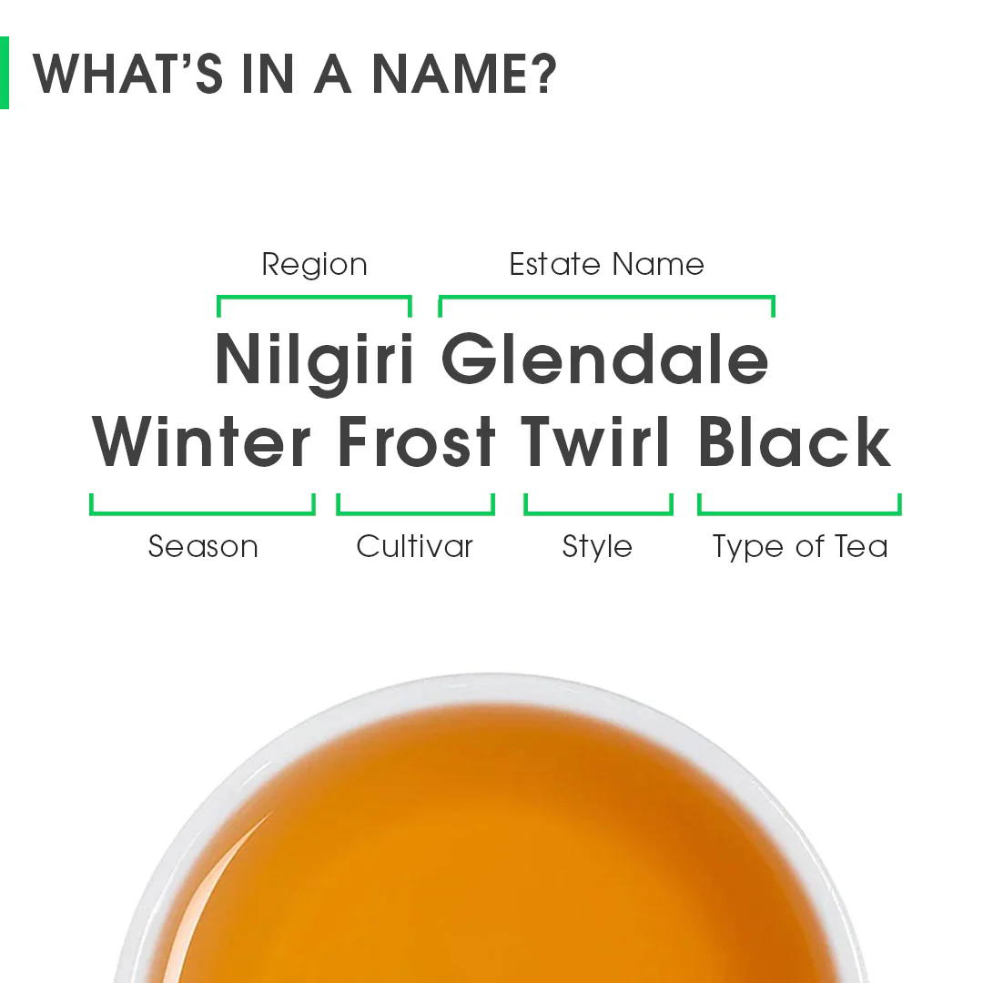 Nilgiri Glendale Winter Frost Twirl Black - Image 8