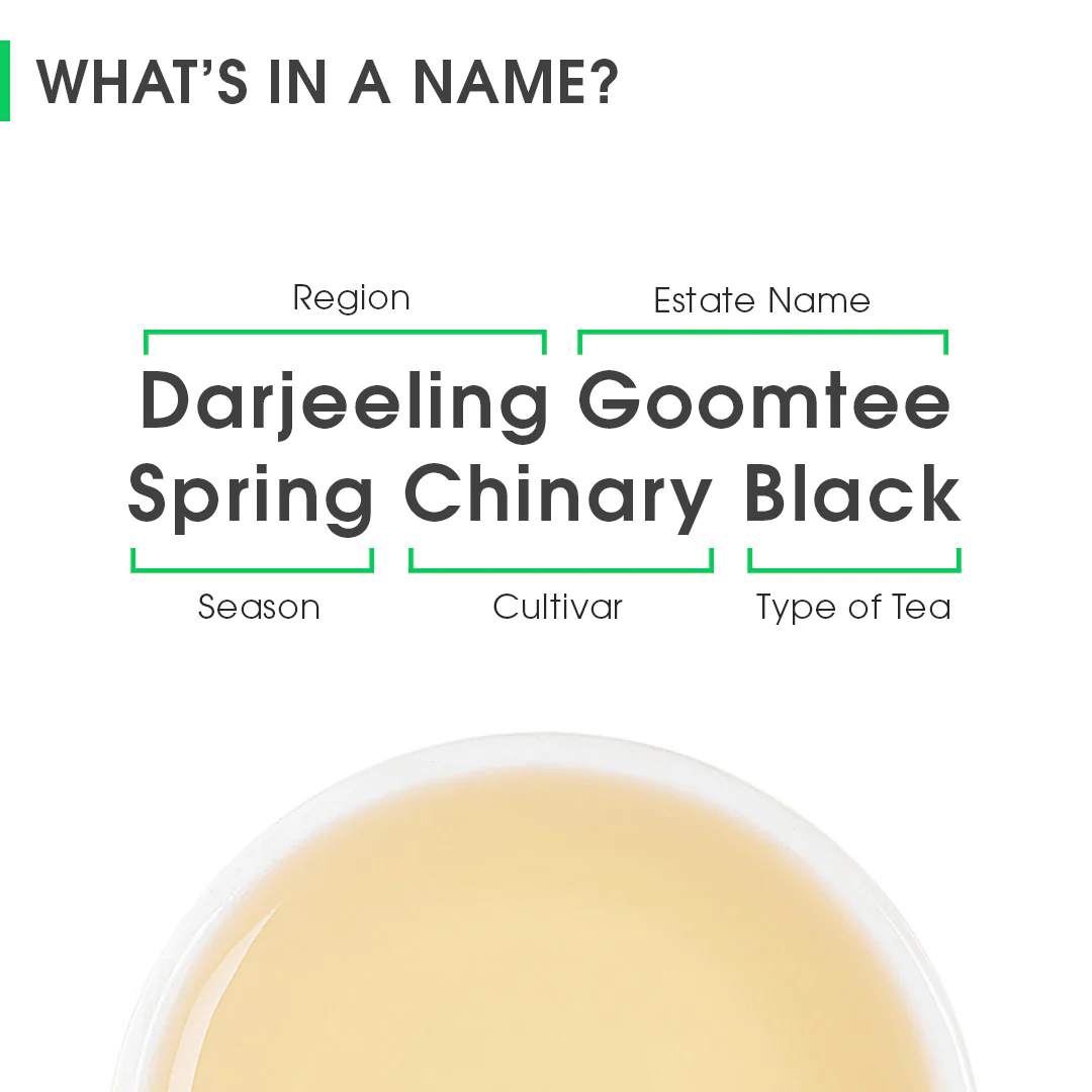 Darjeeling Goomtee Spring Chinary Black - Image 8