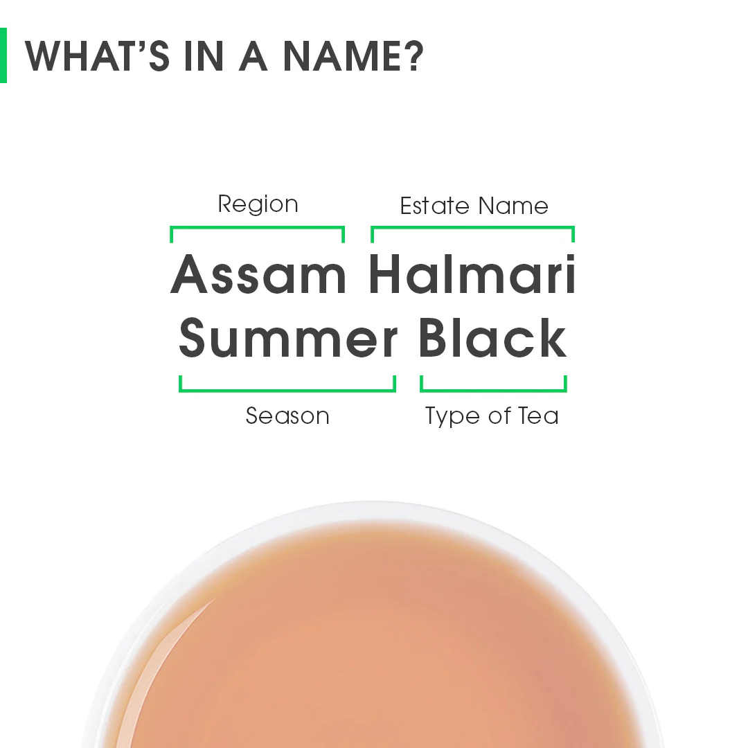 Assam Halmari Summer Black - Image 8