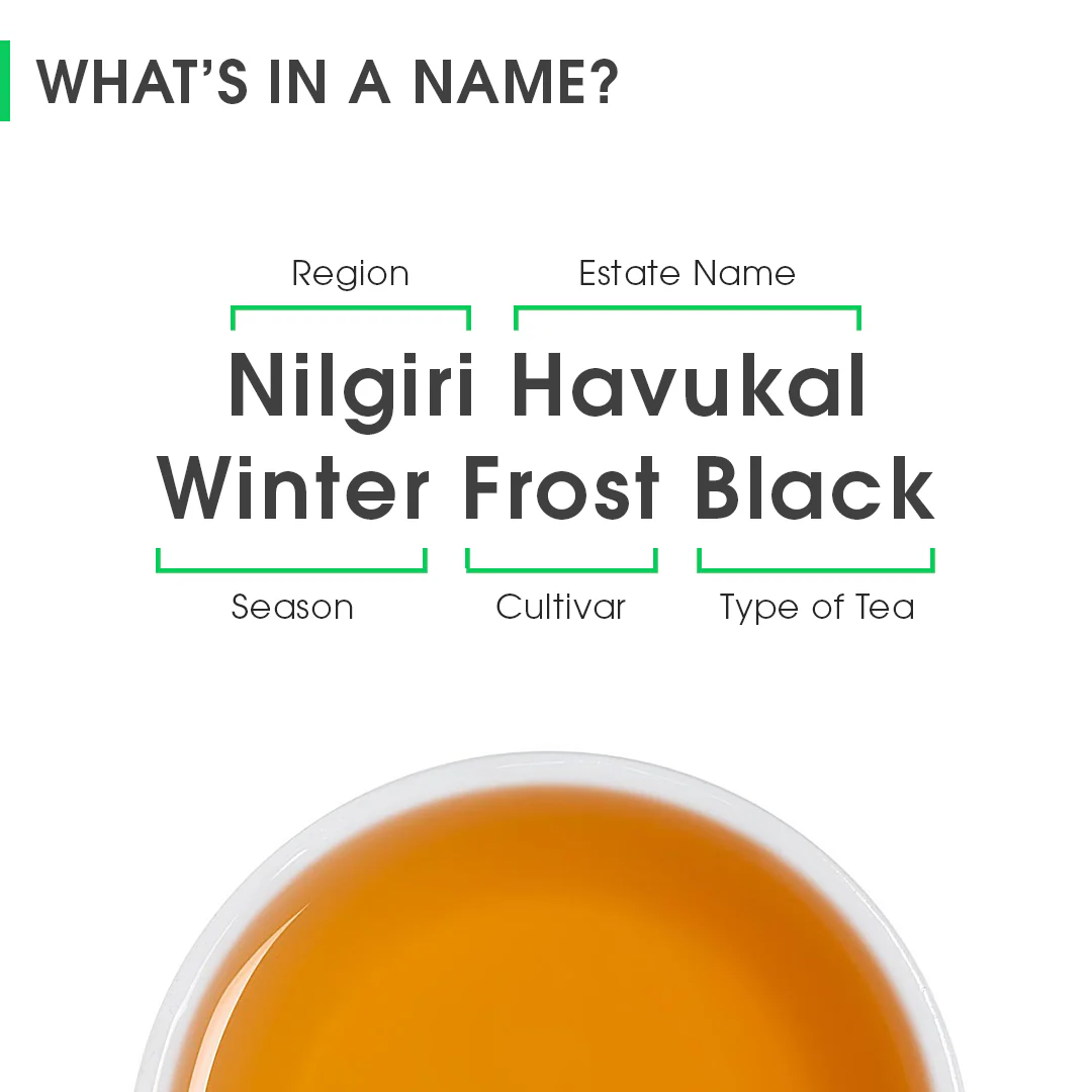 Nilgiri Havukal Winter Frost Black - Image 8