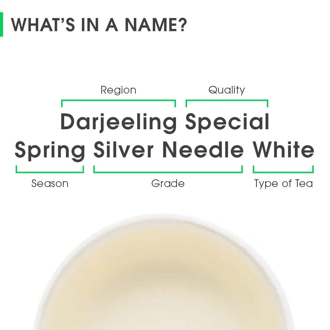 Darjeeling Special Spring Silver Needle White - Image 8