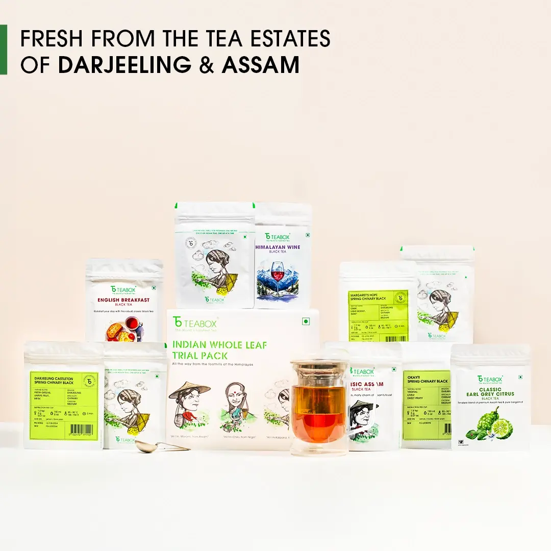Indian Whole Leaf Trial Pack (Free Seidel Glass Tea Mug With Infuser & Ideal Teaspoon) - Image 2