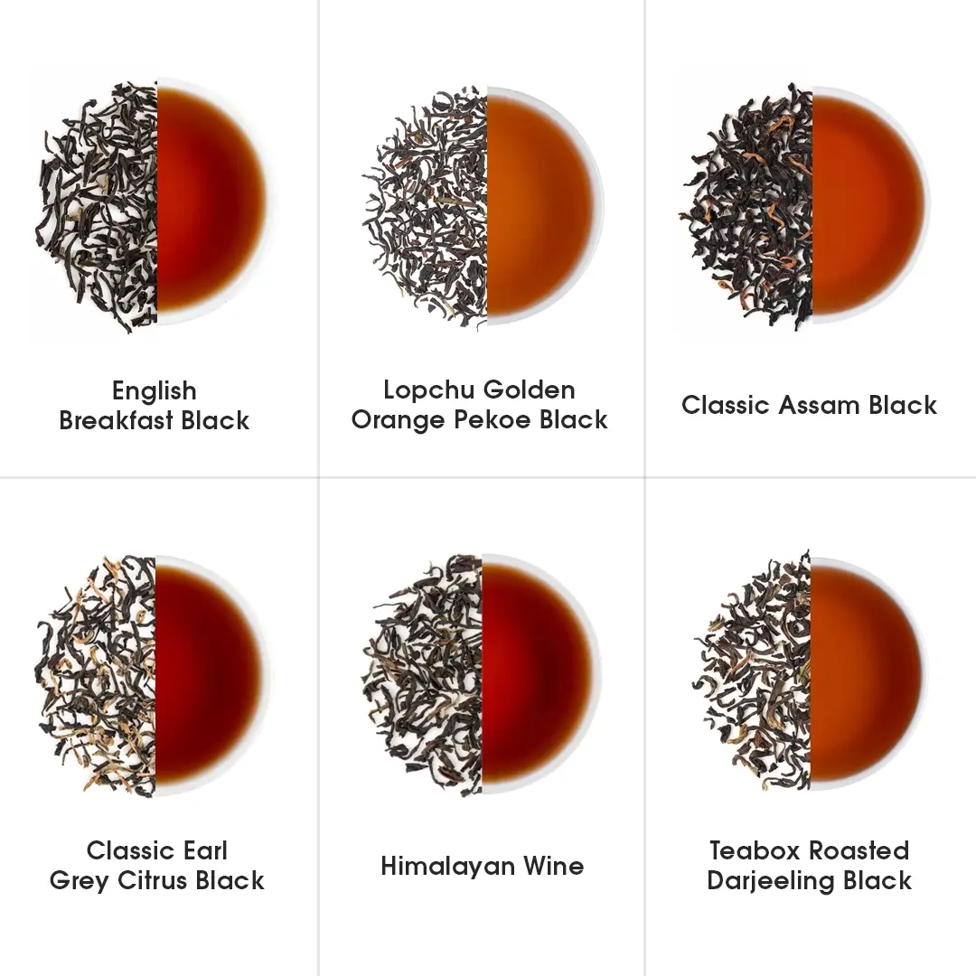 Indian Whole Leaf Trial Pack (Free Seidel Glass Tea Mug With Infuser & Ideal Teaspoon) - Image 9