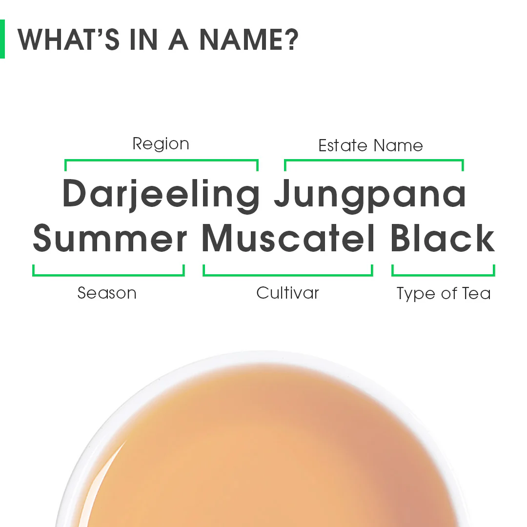 Darjeeling Jungpana Summer Muscatel Black - Image 7