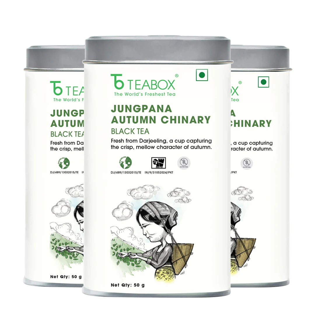 Darjeeling Jungpana Autumn Chinary Black - Image 10